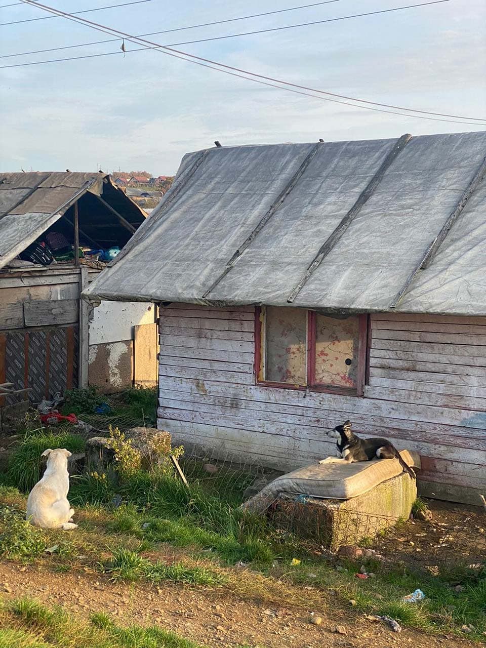 Saltele pentru cei nevoiași! — Galerie 3