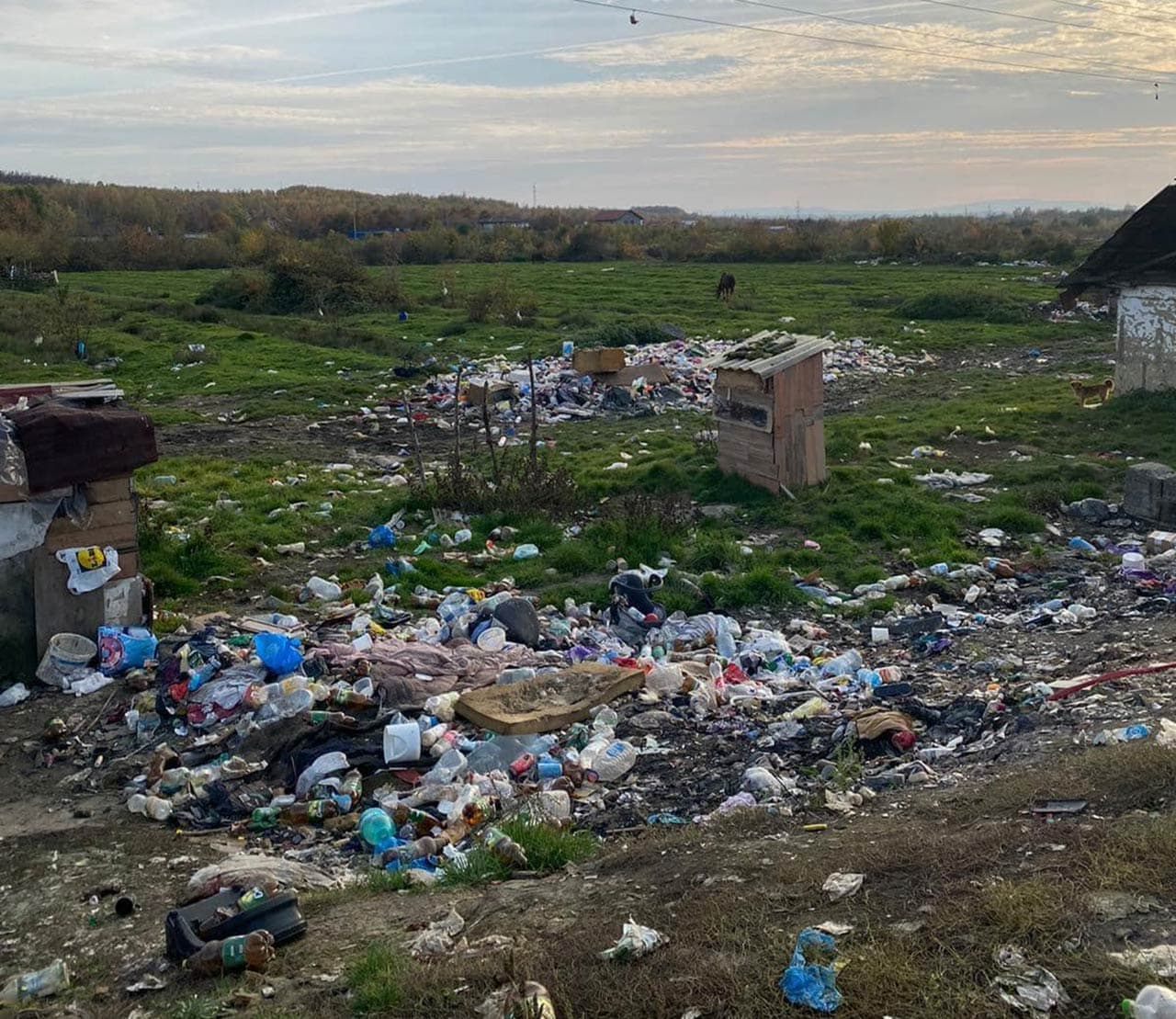 Saltele pentru cei nevoiași! — Galerie 10