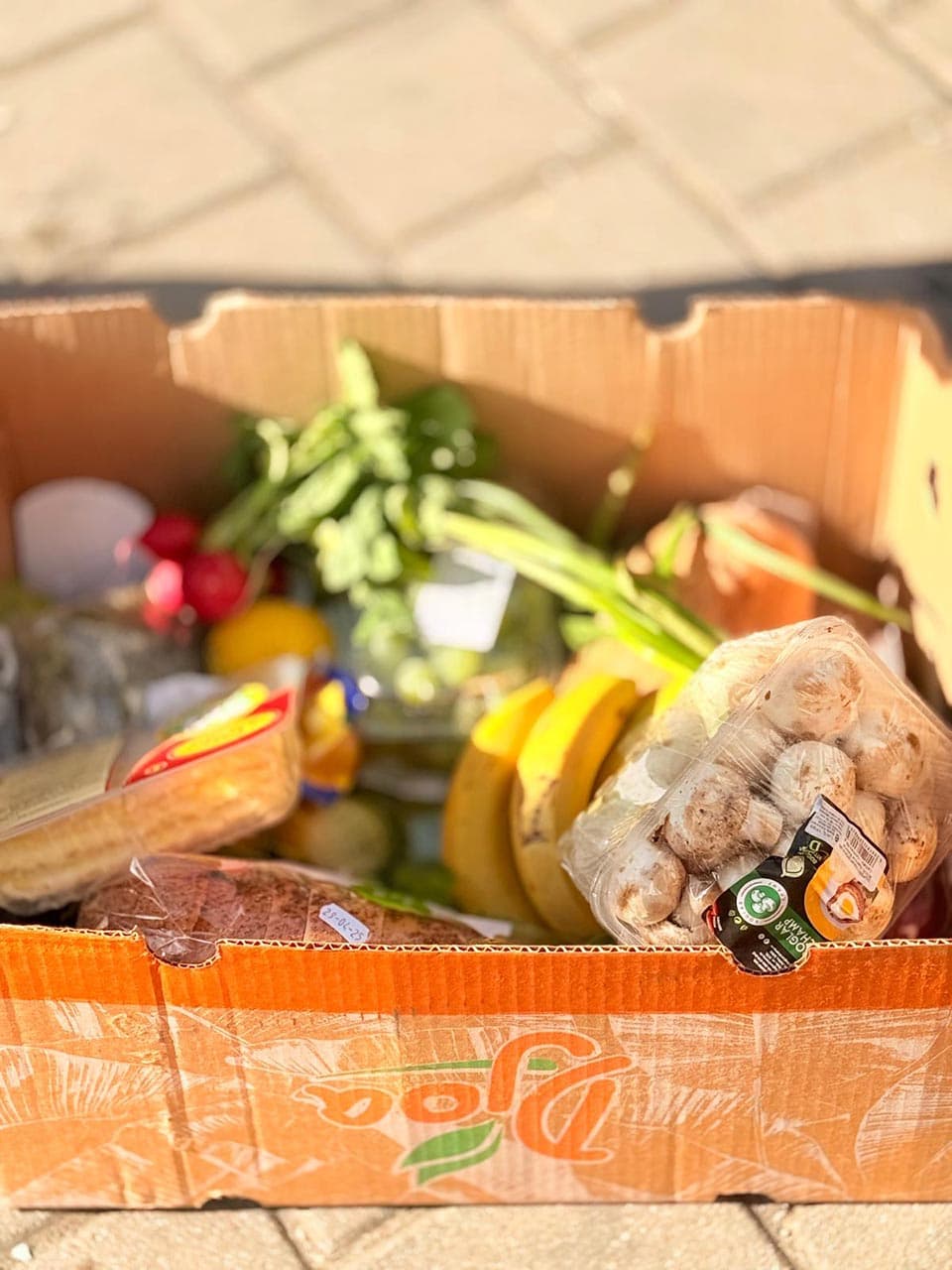 Împreună hrănim speranța — Galerie 9