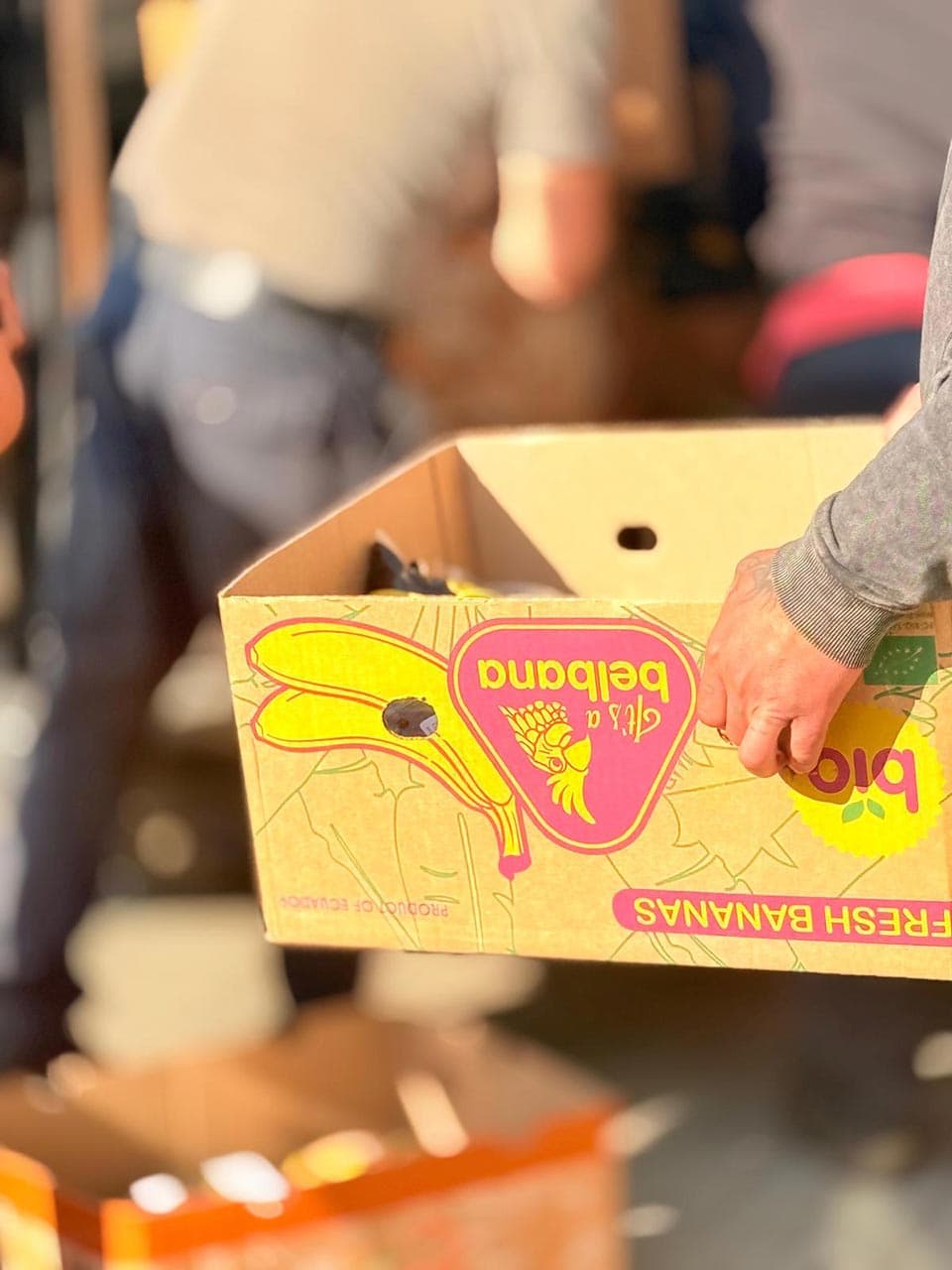 Împreună hrănim speranța — Galerie 11