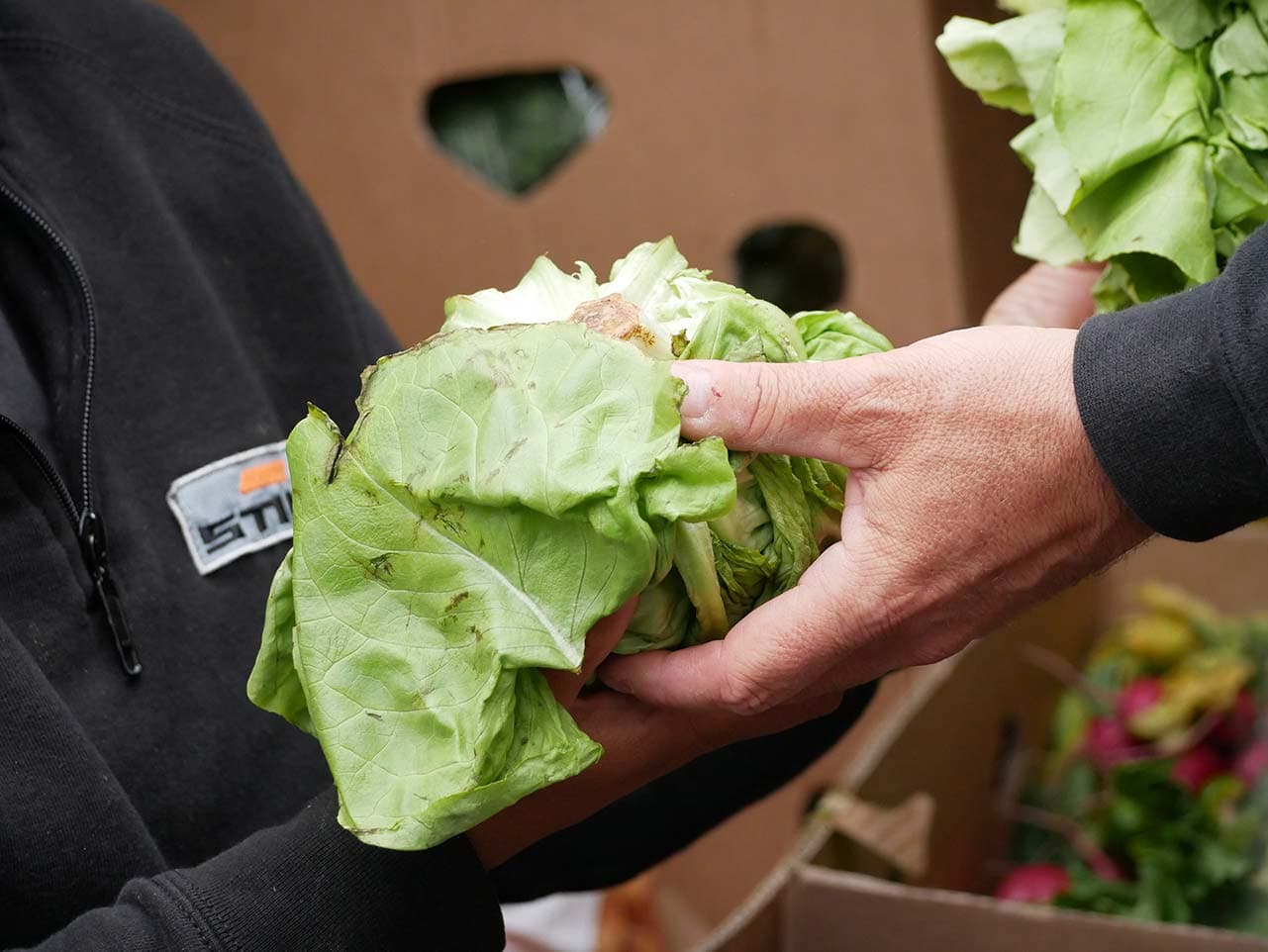 Împreună, facem binele să meargă mai departe! — Galerie 6