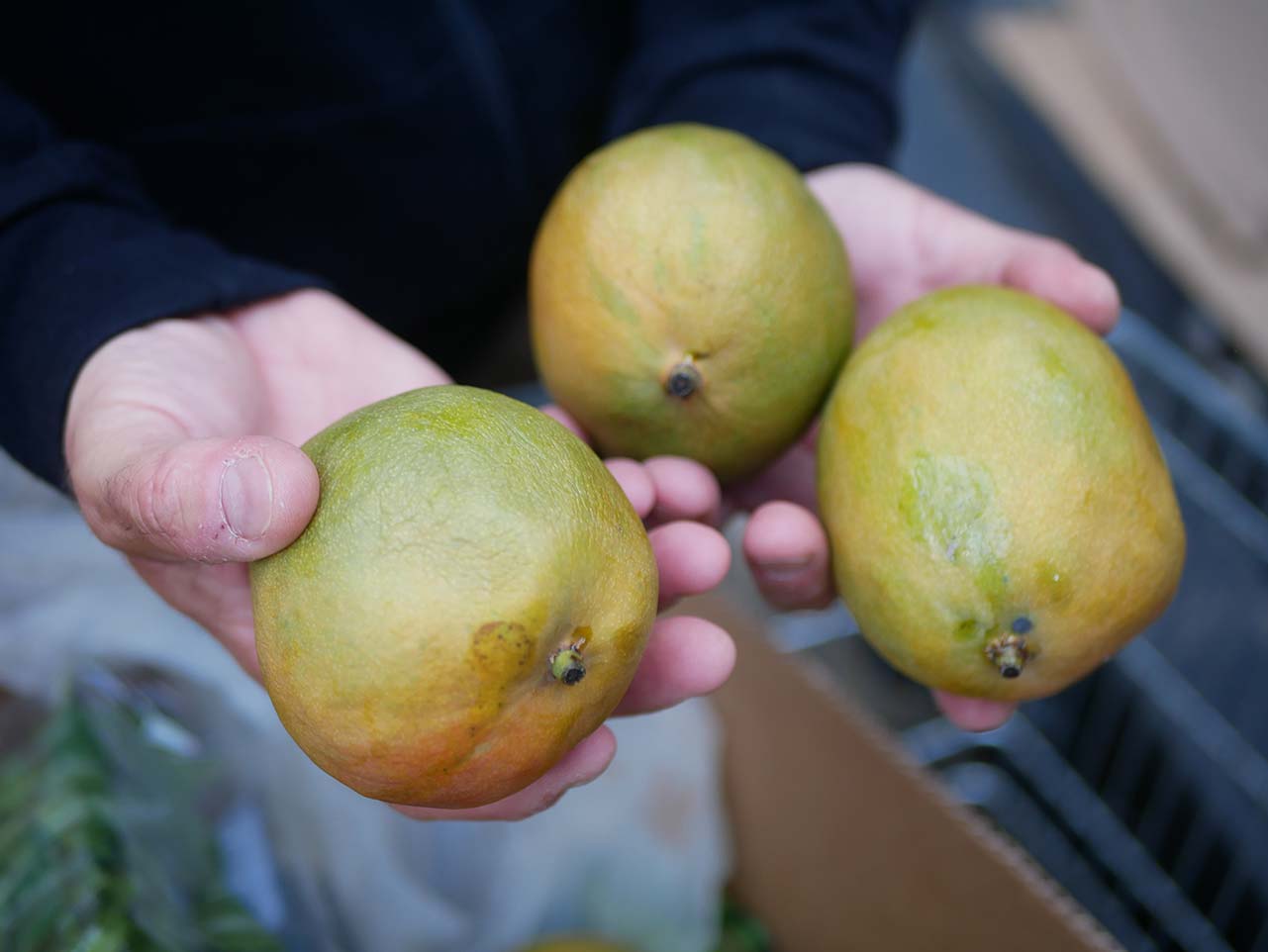 Un gest simplu, un impact profund — Galerie 14