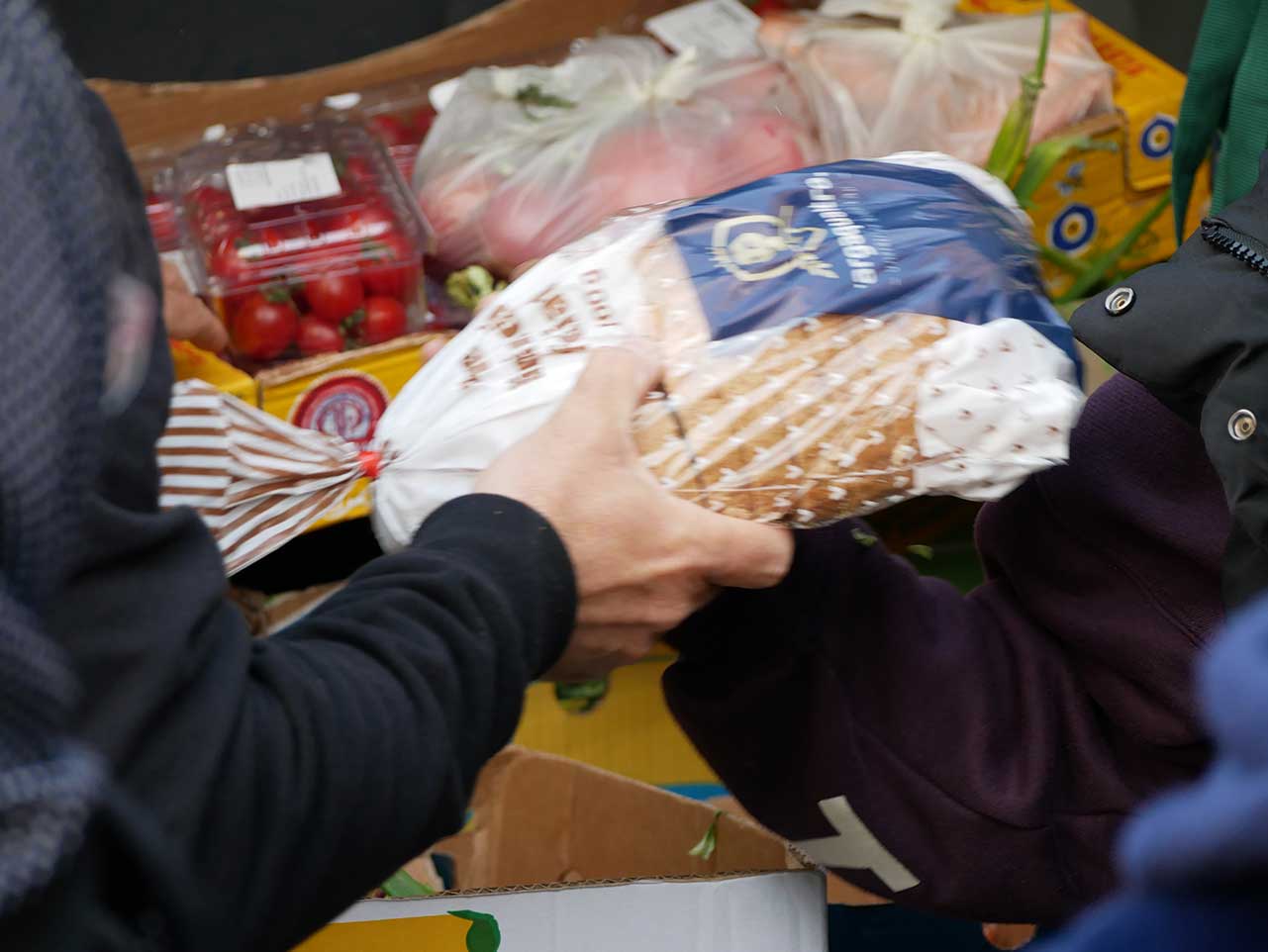 Donație de alimente — Galerie 4