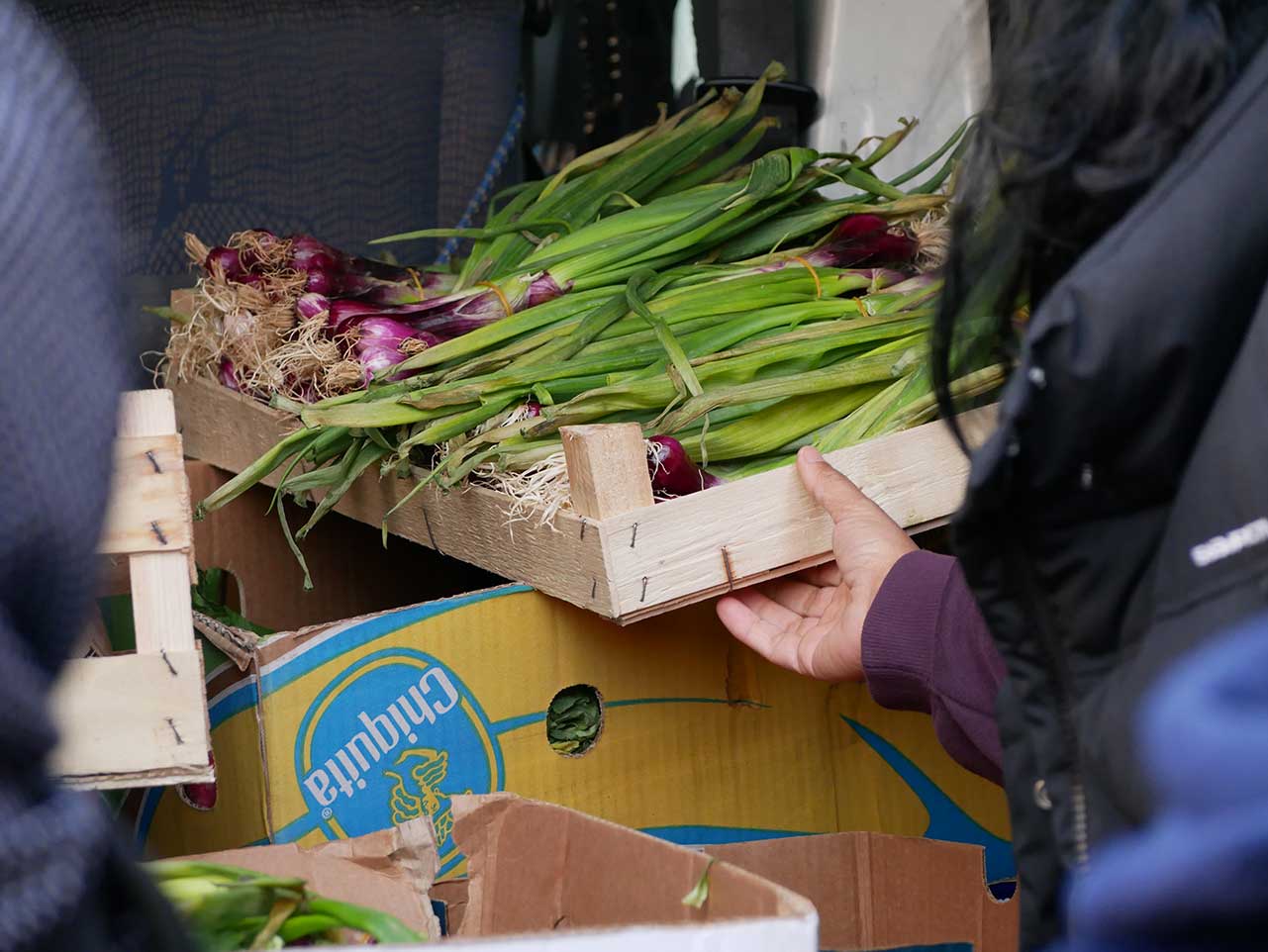 Donație de alimente — Galerie 5