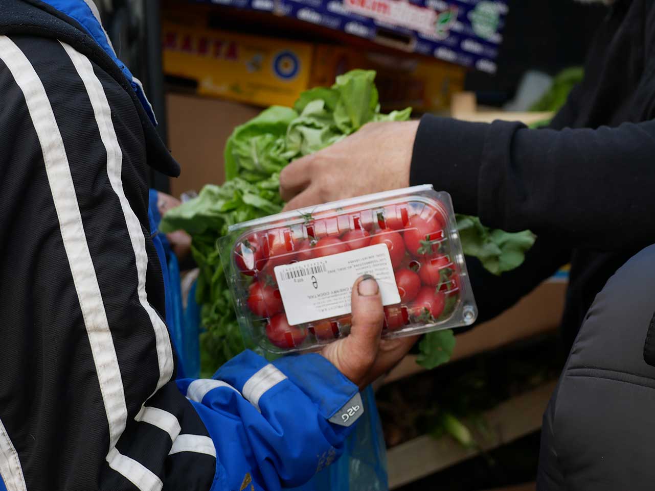 Donație de alimente — Galerie 6