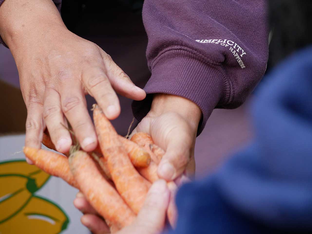 Donație de alimente — Galerie 7