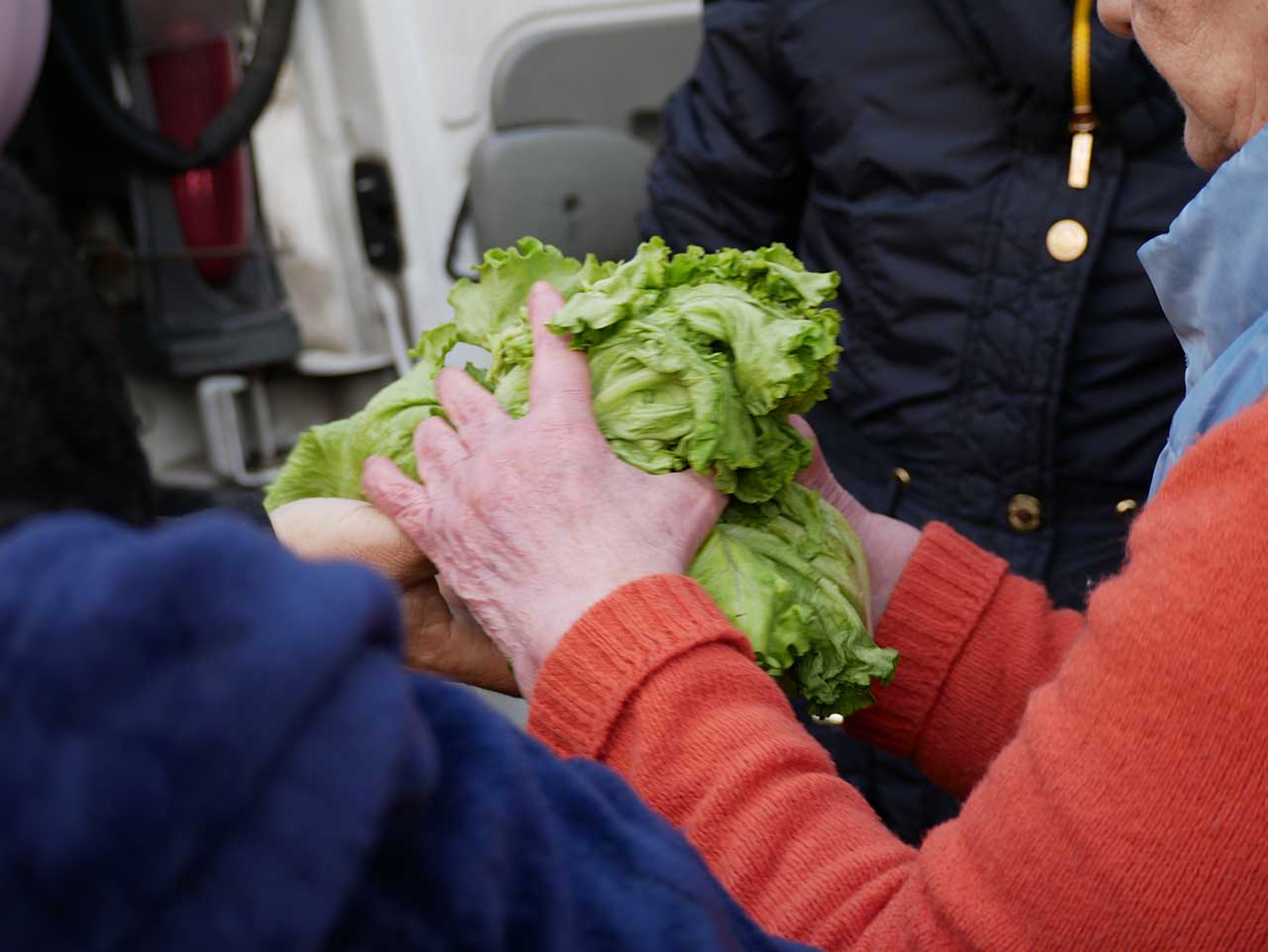 Donație de alimente — Galerie 13