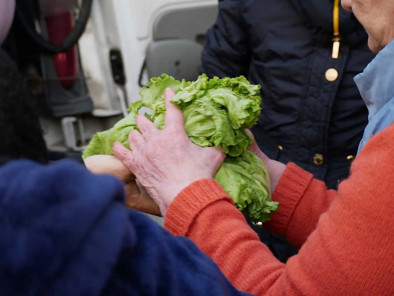 Donazione di alimenti — Galleria 13