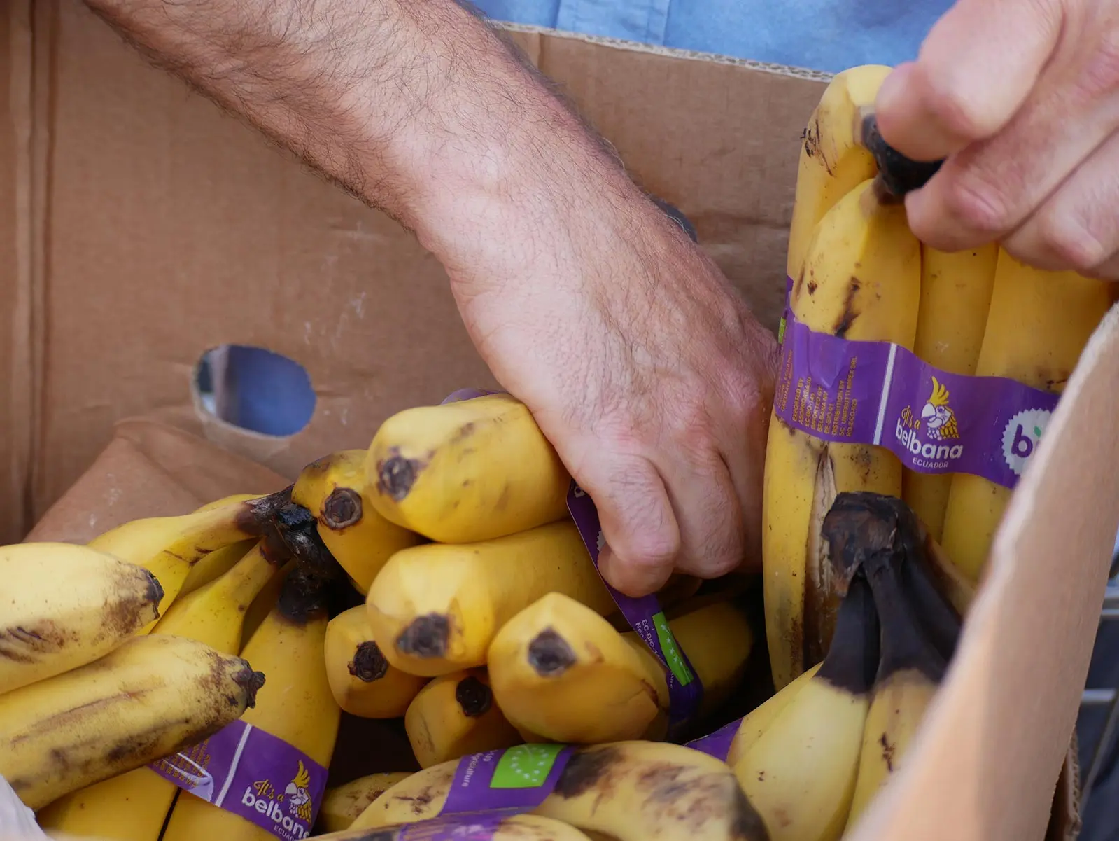 FraternitaCSS e la Banca Alimentare — un nuovo gesto di solidarietà — Galleria 4