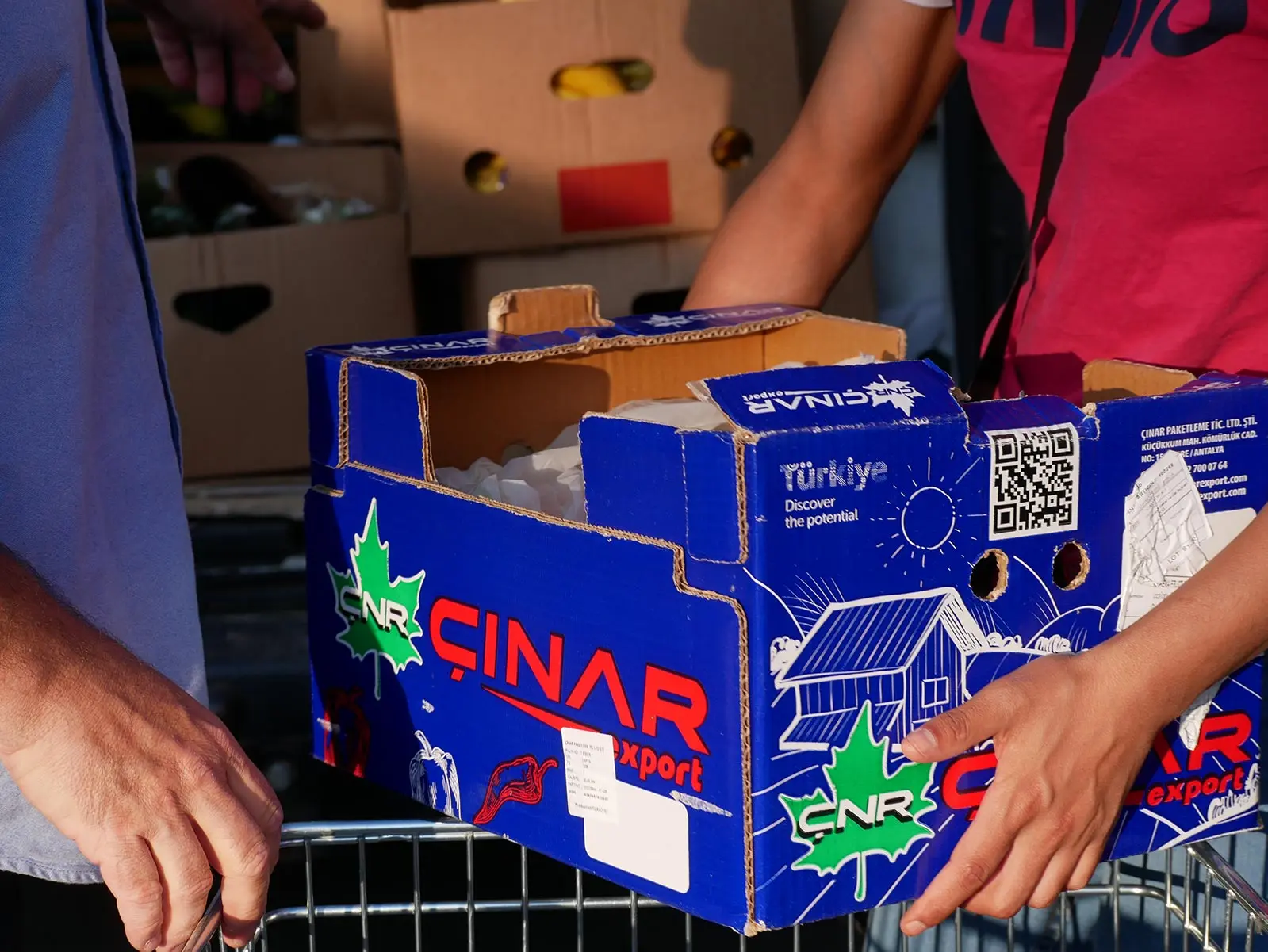 FraternitaCSS e la Banca Alimentare — un nuovo gesto di solidarietà — Galleria 5